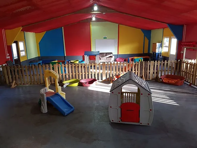 Dog Daycare Paignton