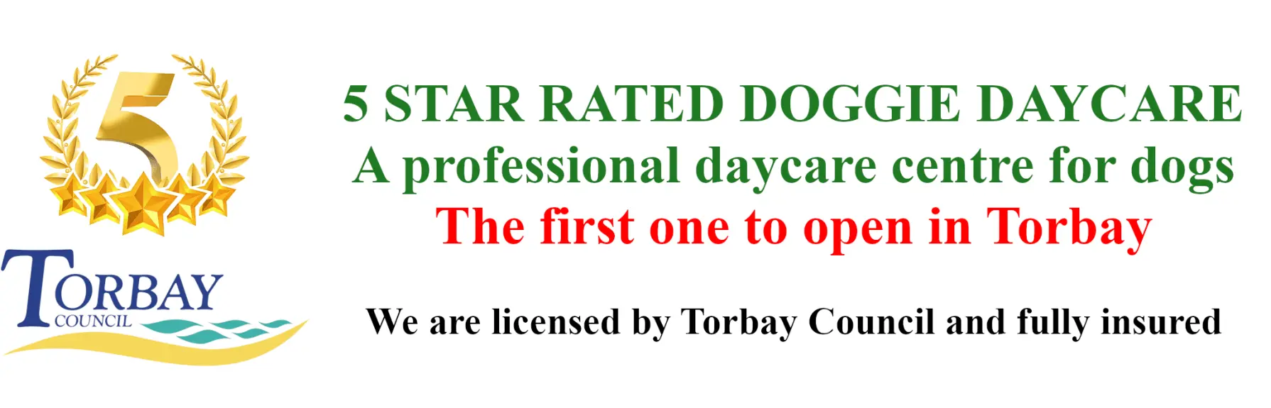 Dog Daycare Torbay